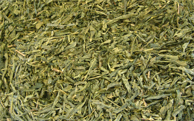té verde bancha japonés de cosecha tardía